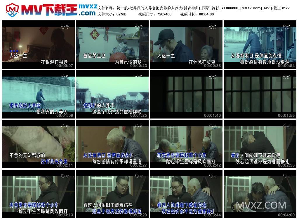 贺一航-把养我的人养老把我养的人养大(抖音神曲)_国语_流行_YF800806